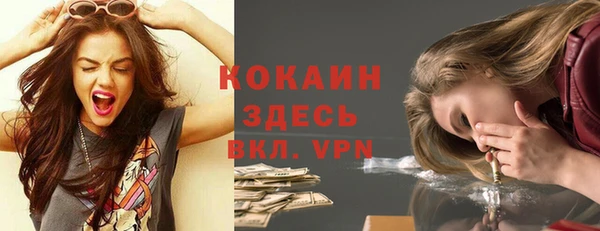 прущие крисы Бородино