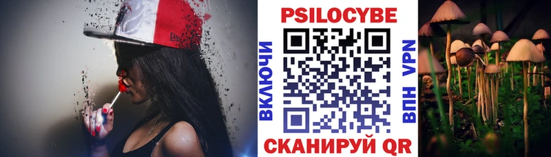 Галлюциногенные грибы Psilocybine cubensis  где найти наркотики  Новохопёрск 